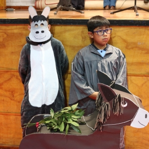 Celebración de Ramos